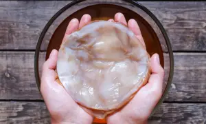 Kombucha jaki to grzyb: odkryj tajemnice SCOBY i jego właściwości
