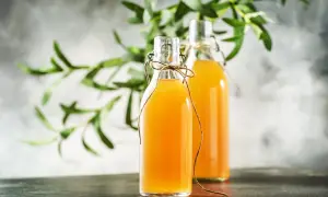Jak zrobić grzybek kombucha - proste kroki do idealnej fermentacji