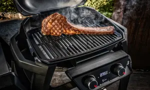 Euro Grill Pruszcz - sprawdź menu, opinie i godziny otwarcia
