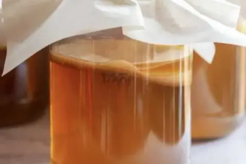 Gdzie kupić grzybek kombucha? Sprawdź najlepsze miejsca i ceny