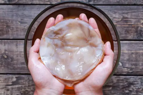 Kombucha jaki to grzyb: odkryj tajemnice SCOBY i jego właściwości