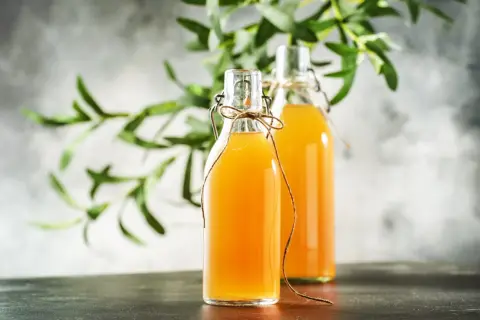 Jak zrobić grzybek kombucha - proste kroki do idealnej fermentacji
