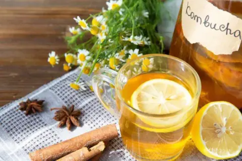 Kombucha co to? Odkryj skład, korzyści i ryzyko picia tego napoju