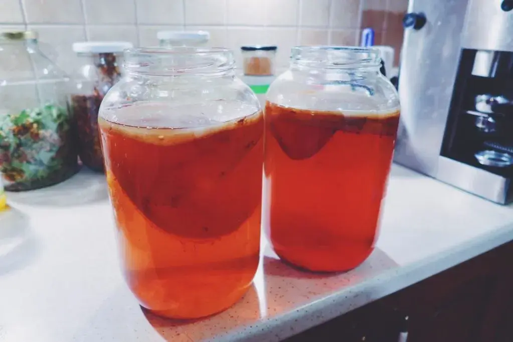 Kiedy kombucha jest zepsuta? Poznaj objawy i uniknij problemów