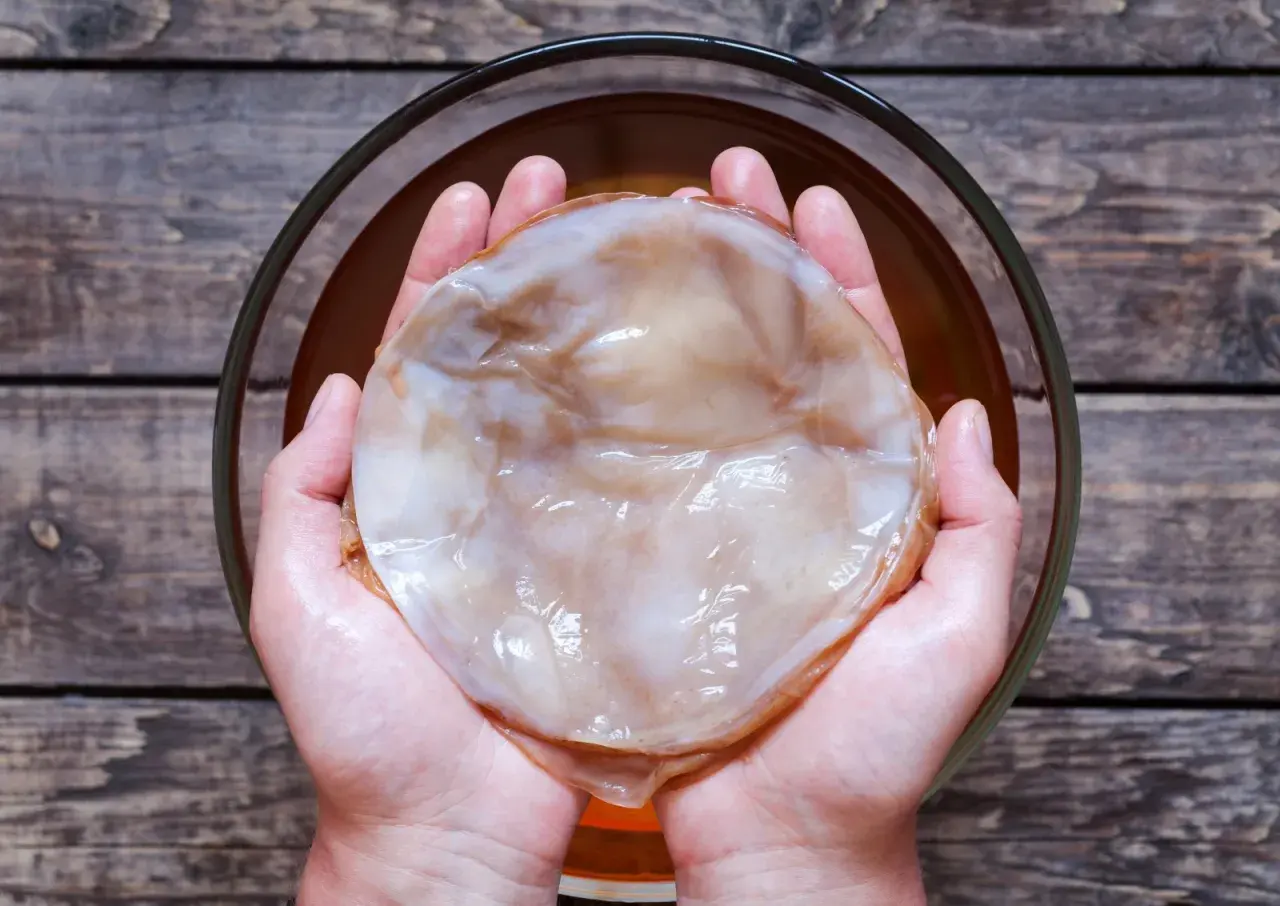 Jak przechowywać grzybek kombucha, aby nie stracił zdrowia i smaku